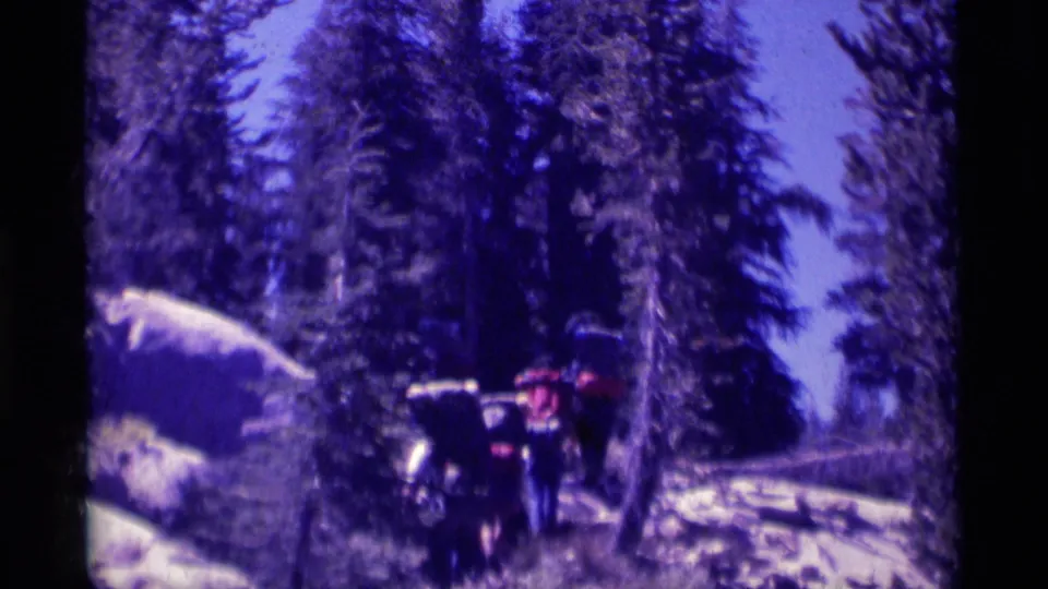 Two backpackers are seen from behind on a Minaret Wilderness trail, framed by tall pines and vintage 8mm color shift.