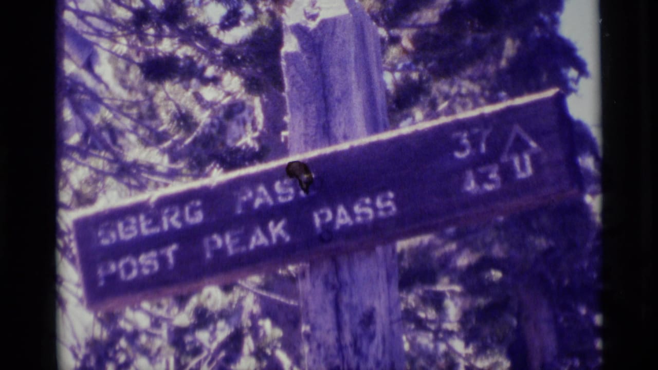 Close view of a wooden mountain trail sign on a post among trees.