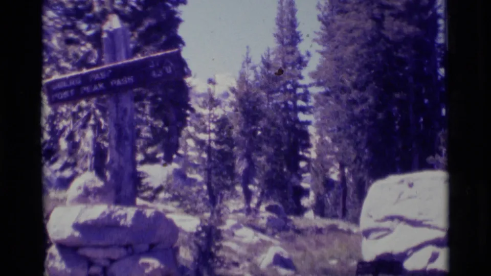 Wide Minaret Wilderness frame from 1975 showing the trail sign at left, conifers, boulders, pale ground patches, and handheld 8mm borders.