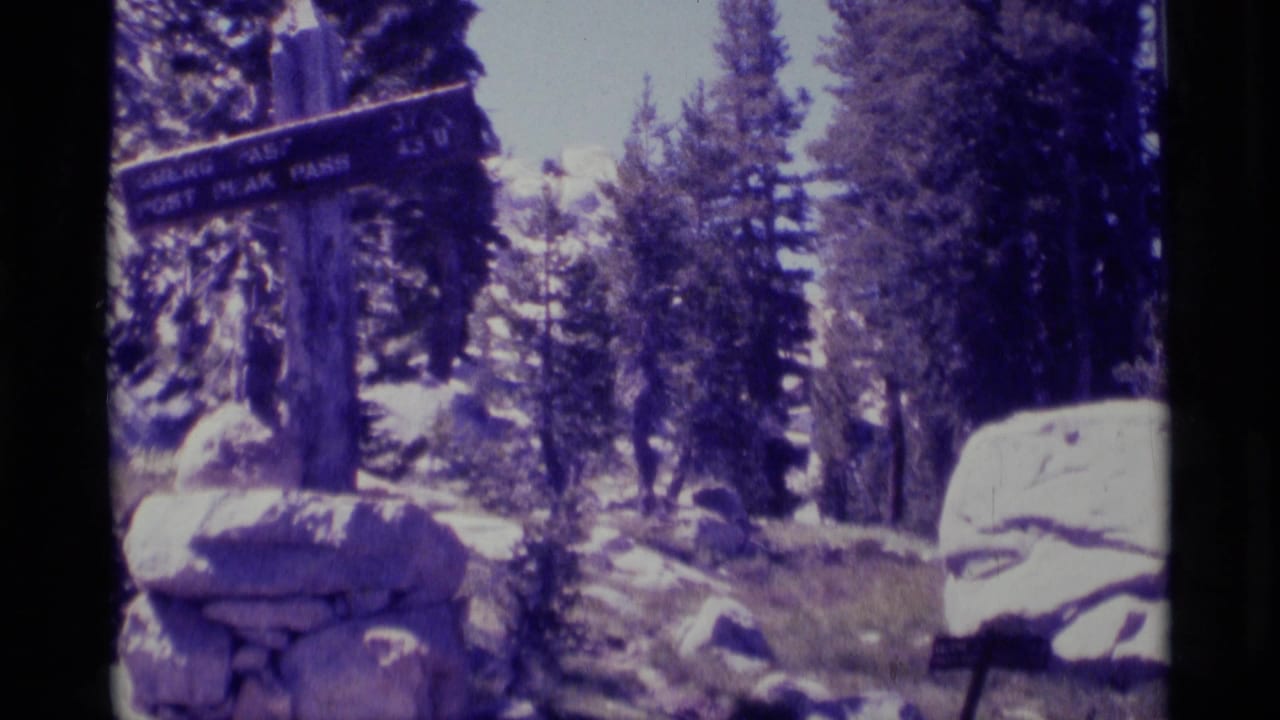 Wooden trail sign among pine trees and rocks in an alpine landscape.
