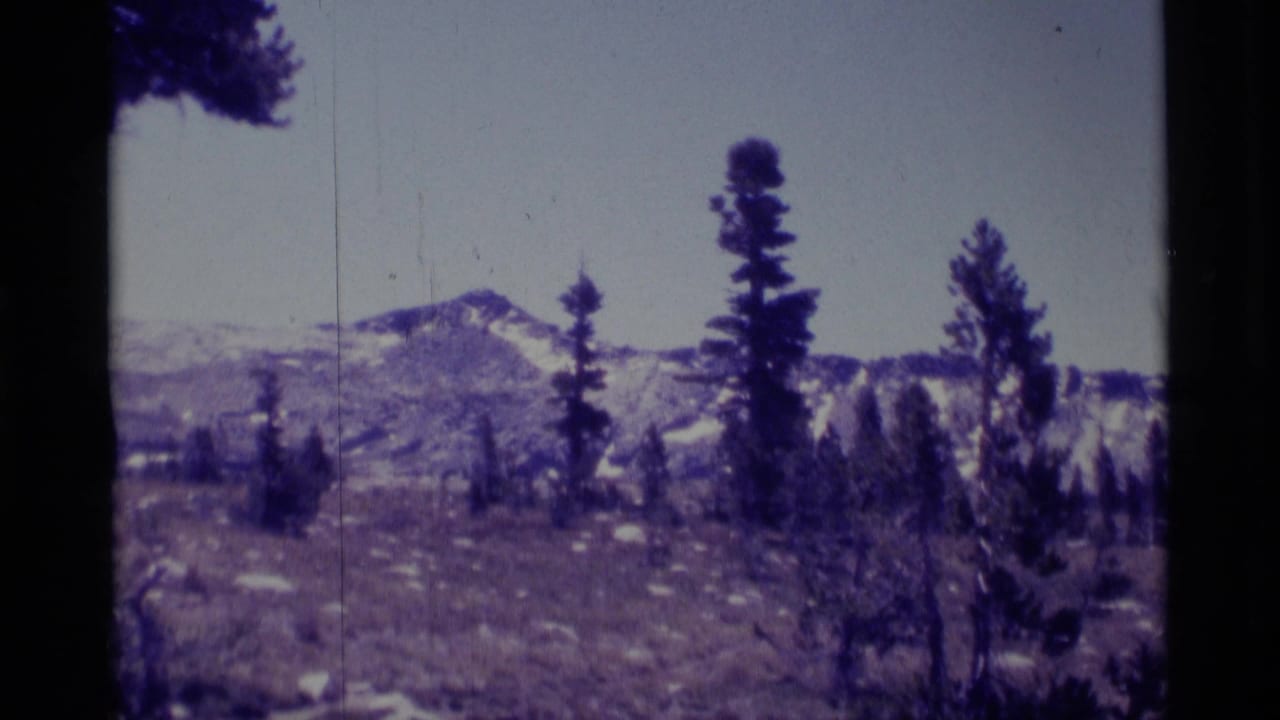 Distant mountain peak and pine trees across rocky open terrain.