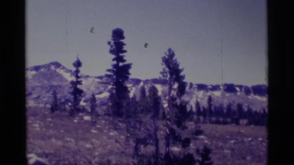 1975 Minaret Wilderness frame with snow-capped mountains, tall pines, and rocky high-country ground.