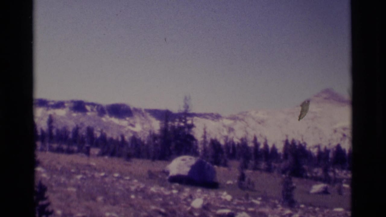 Wide mountain meadow with pines, scattered rocks, and snow-covered peaks beyond.