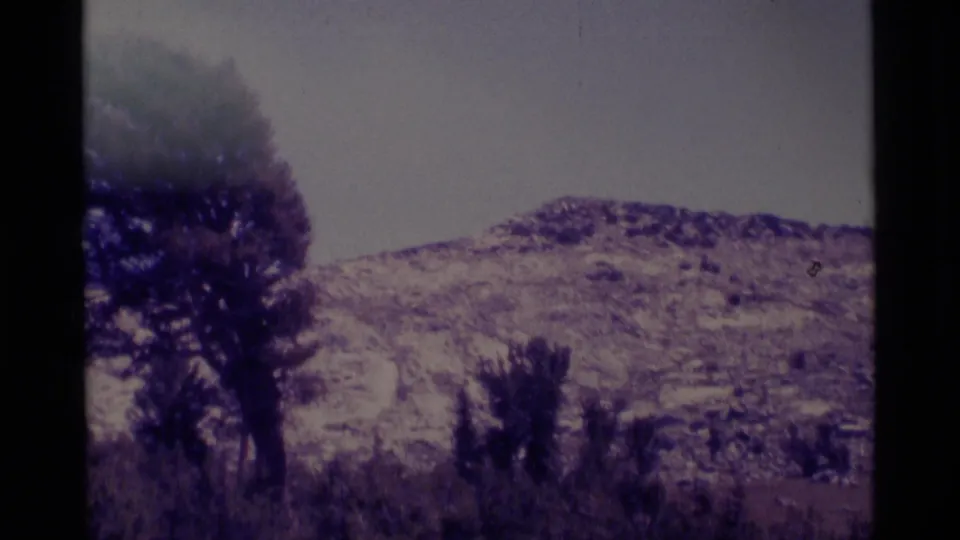 1975 8mm view of a rugged Minaret Wilderness slope, with brushy foreground and a large tree along the left side.