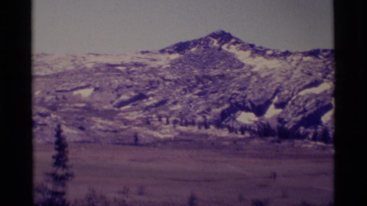 Broad mountain slope with snow patches, meadow below, and a conifer near the lower left.