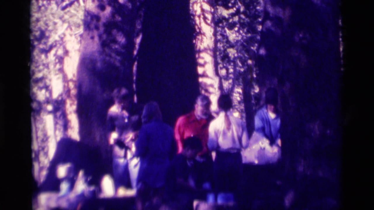 1975 8mm home-movie frame from Minaret Wilderness showing several adults gathered in dense woods near a possible picnic or serving area.