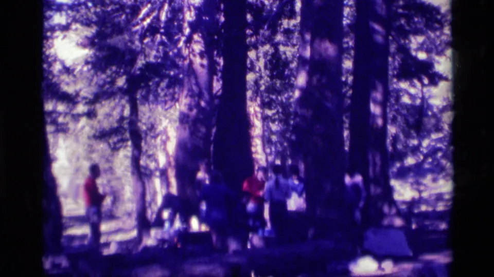 Wide 1975 home-movie view of a wooded Minaret Wilderness gathering, with people spaced among trunks near a possible table or campsite setup.
