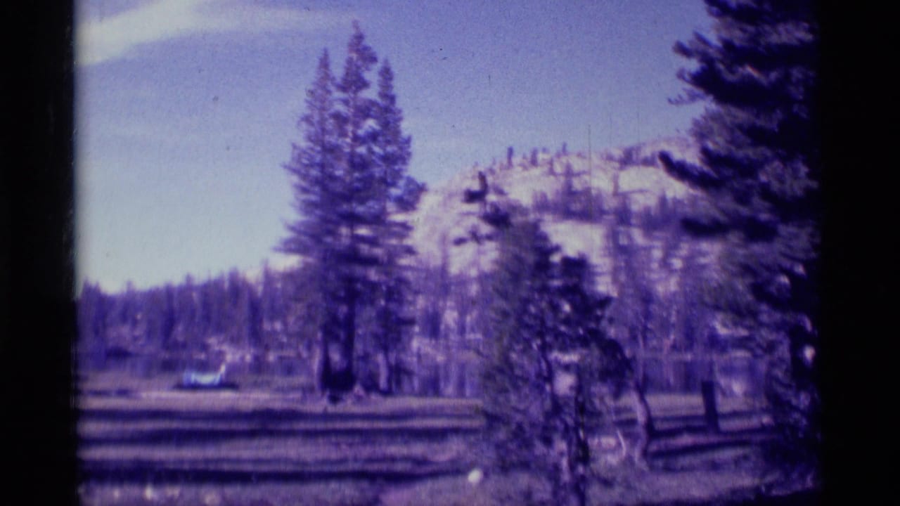 1975 8mm view of Minaret Wilderness with tall conifers, open ground, distant snow-dusted mountains, and a purple film cast.