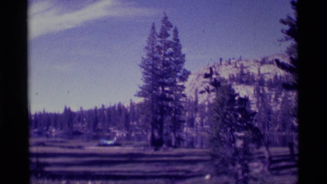 Conifers stand before a distant mountain ridge under a pale blue sky.