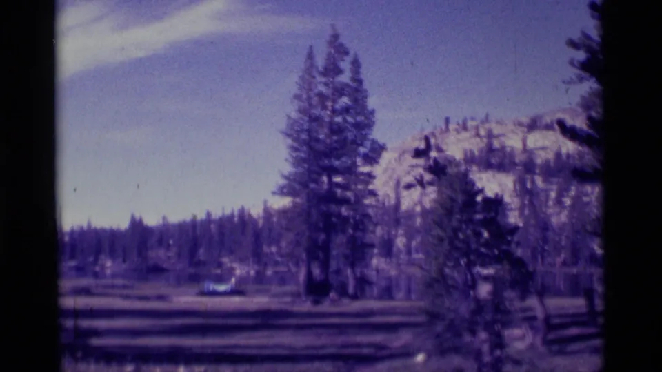 1975 Minaret Wilderness landscape frame with foreground pines, a forested horizon, distant snow patches, and soft 8mm grain.