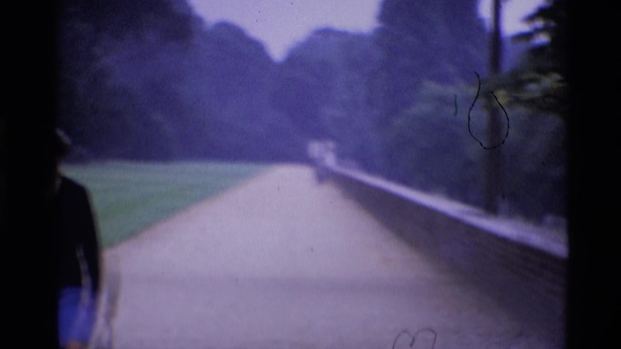 Soft-focus park path bordered by lawn, trees, and a low brick wall with a distant figure.