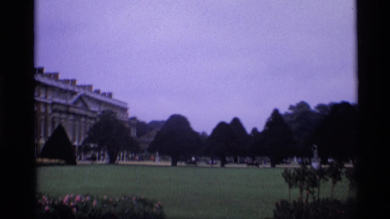 Formal lawn with topiary trees and part of a grand building at left.