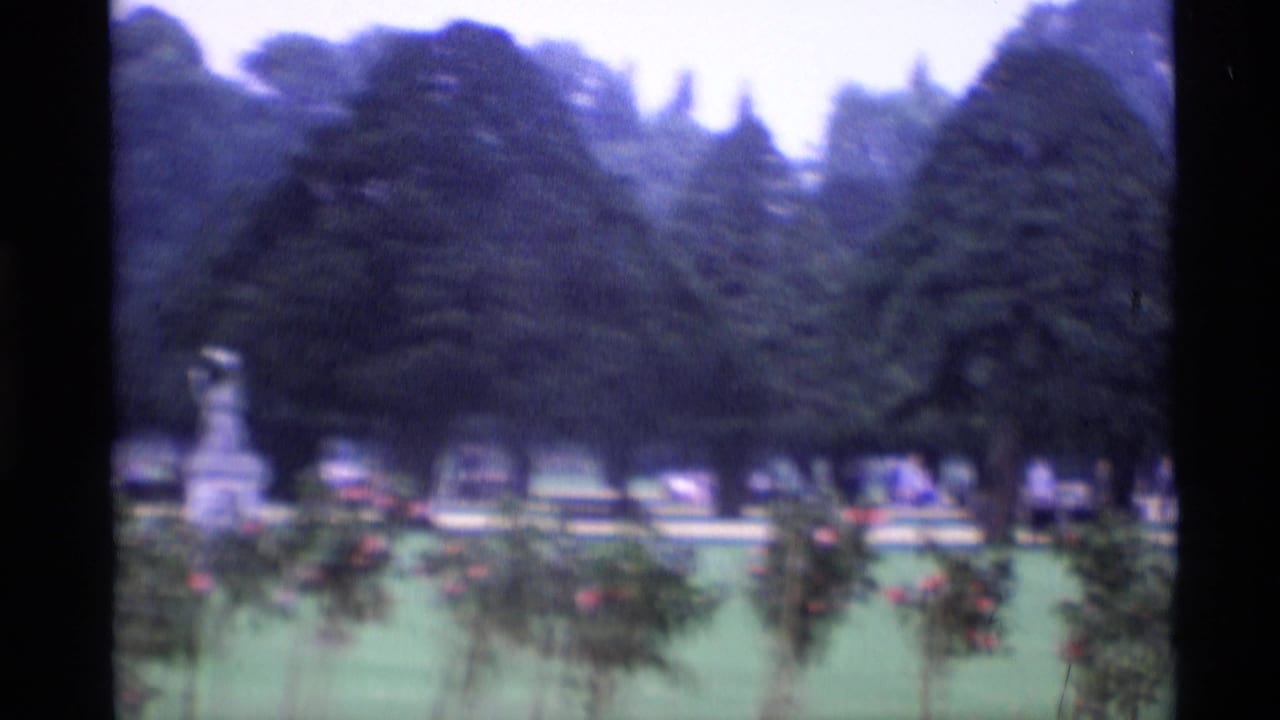 Soft 8mm view of a landscaped cemetery with trees, flowerbeds, lawns, and distant monuments.