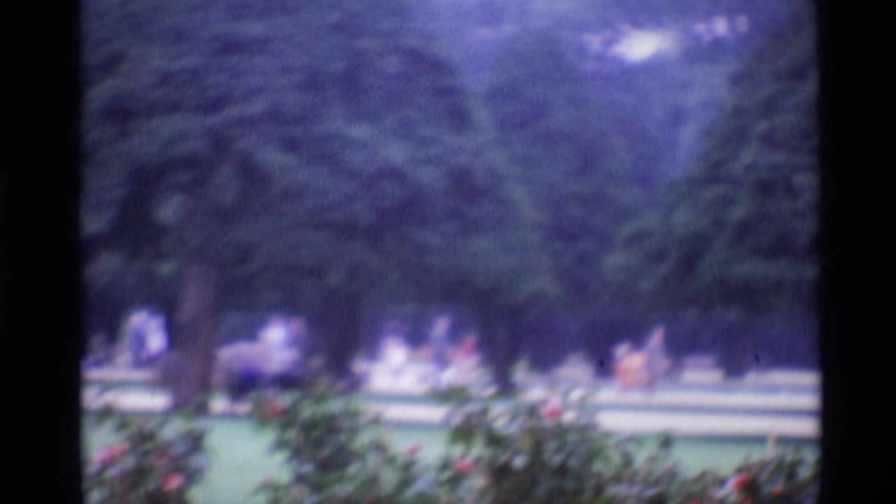 Soft 1969 London 8mm frame of cemetery lawns, low flowerbeds, tall trees, pale edging, distant monuments, and indistinct visitors.