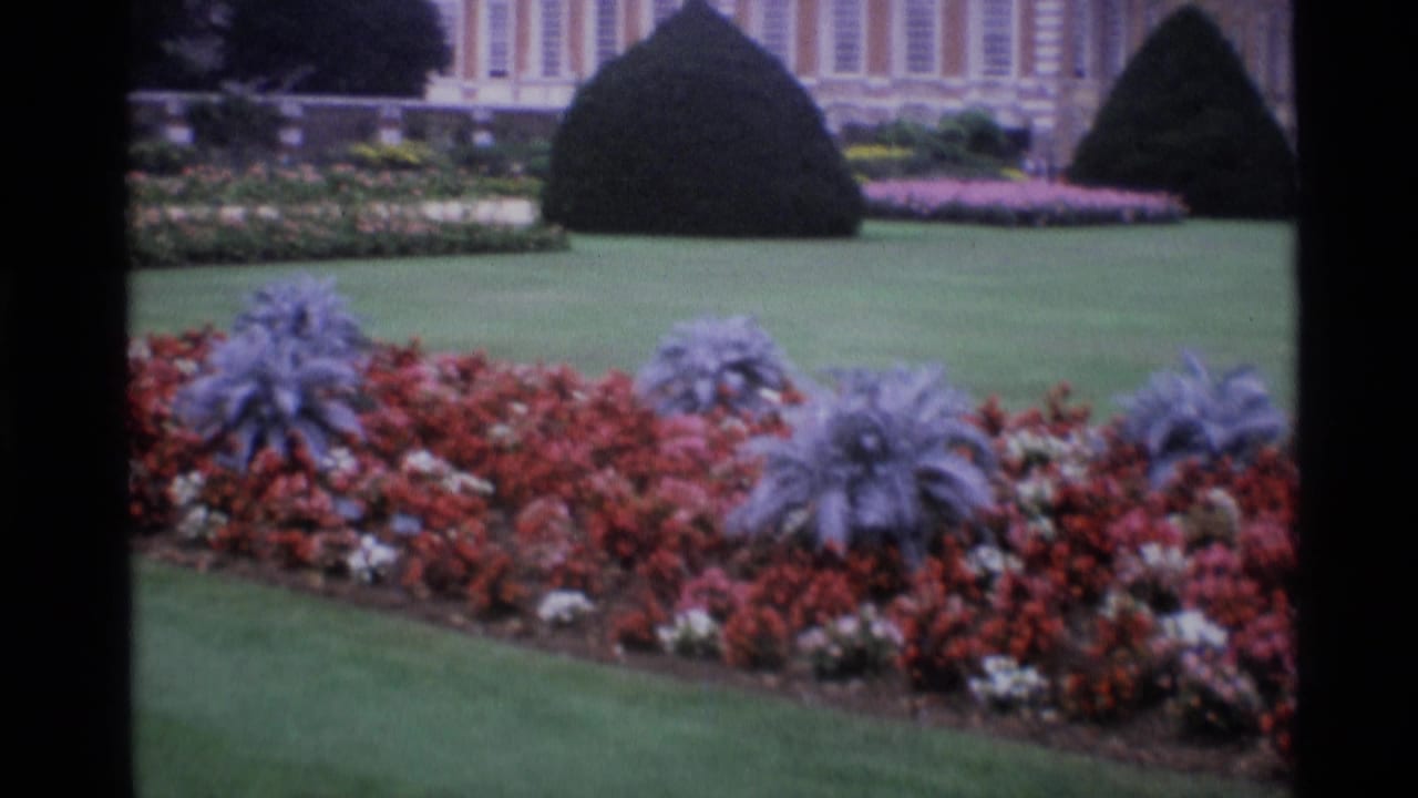 1969 London garden view with red and white flowerbeds, silvery foliage, manicured grass, dark topiary, and a grand building beyond.