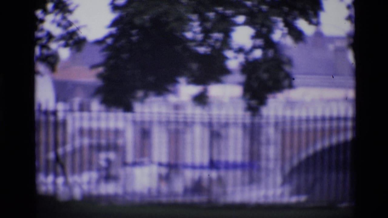 1969 London 8mm frame showing trees and black iron fencing with a pale bridge or railing line in the background.