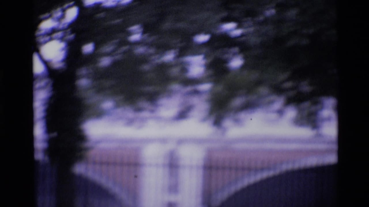 Soft 8mm London view through dark tree branches toward fencing and a pale bridge-like structure.