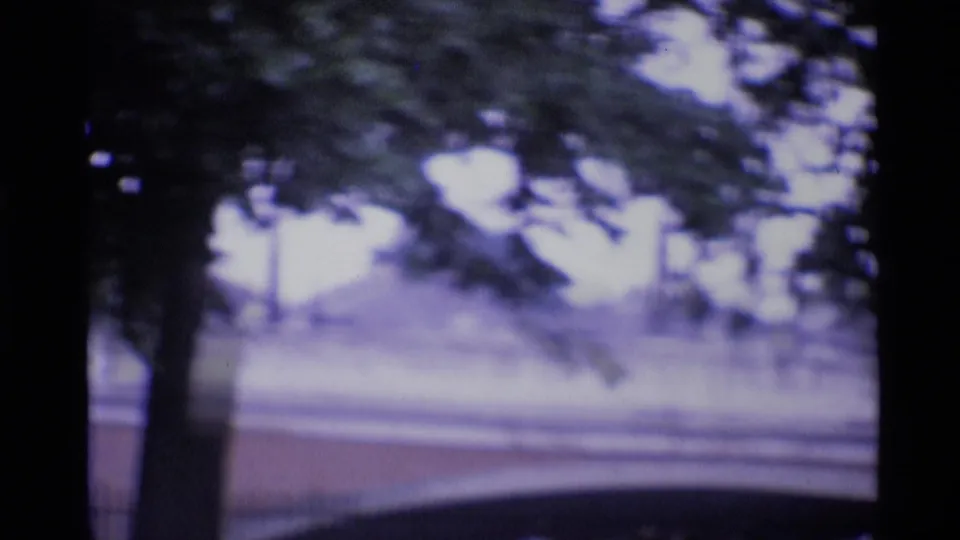 1969 London home-movie frame with a tree trunk, leafy canopy and soft fence or bridge line beyond.