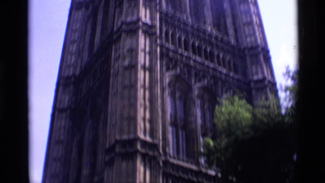 Tall Gothic tower section rising above trees against a pale sky.