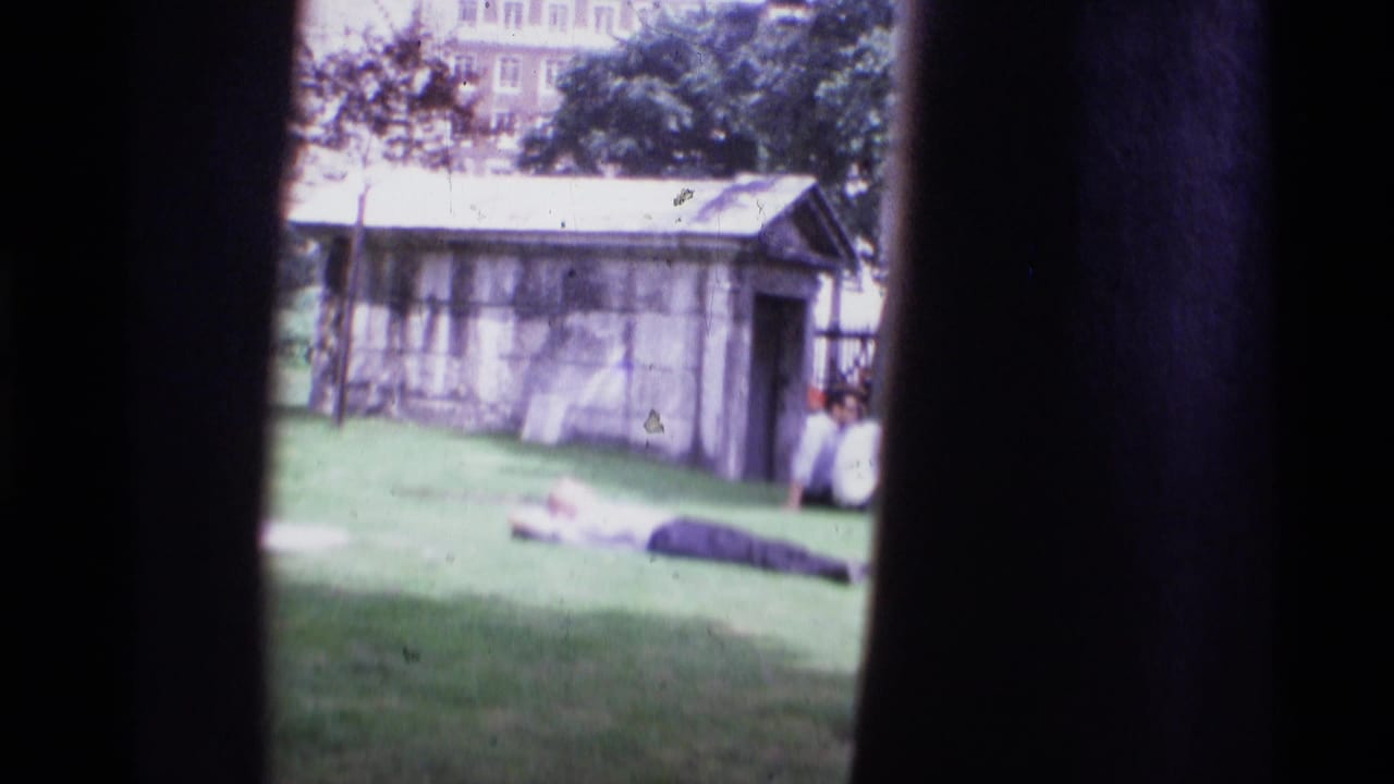 London visitor footage shows a fenced lawn with distant people and buildings beyond, seen through dark film gate edges.