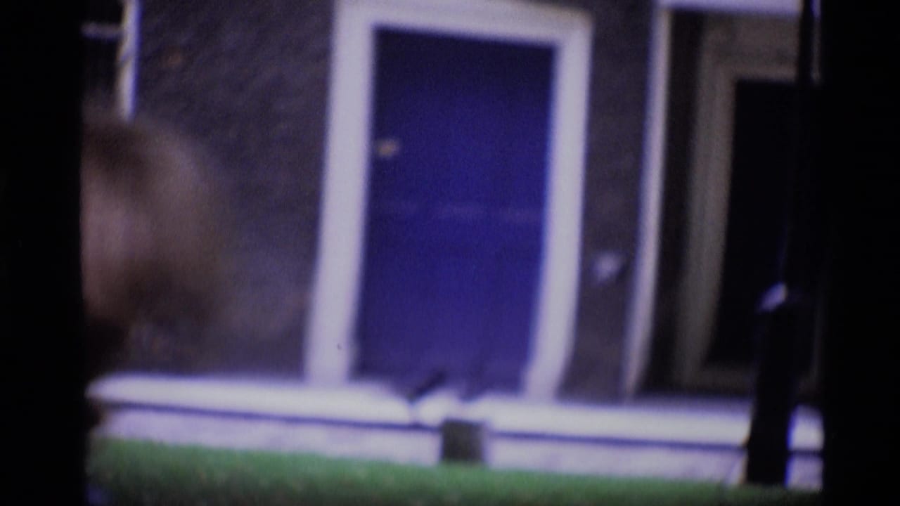 Soft 8mm view of a London residential doorway with a blue door, white trim, green lawn, and a bird near the threshold.