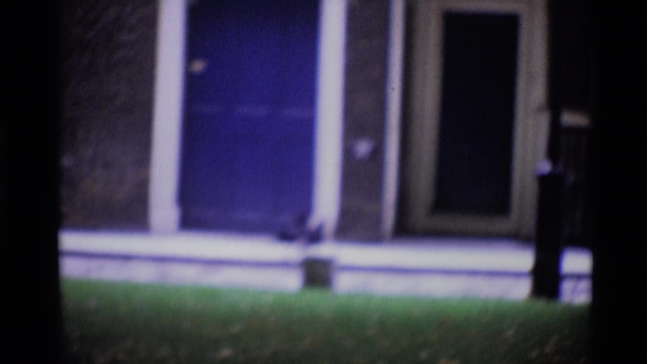 Blurred lawn and building frontage with pigeons near a blue door.