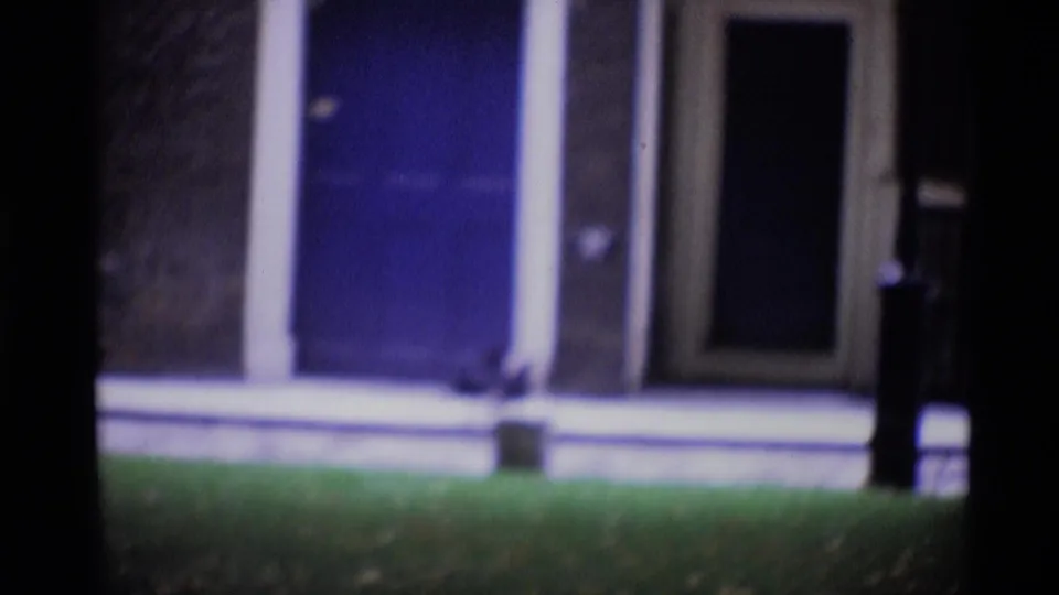 Out-of-focus 1969 London home-movie frame with pigeons on grass, blue doors, white trim, and a tree trunk crossing the view.