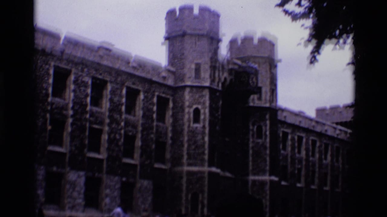 Stone fortress wall with round towers, tall windows, and dark tree branches at the edge.