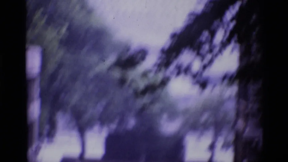 Tree-framed exterior view in London, with a large building partly obscured by branches and film blur.