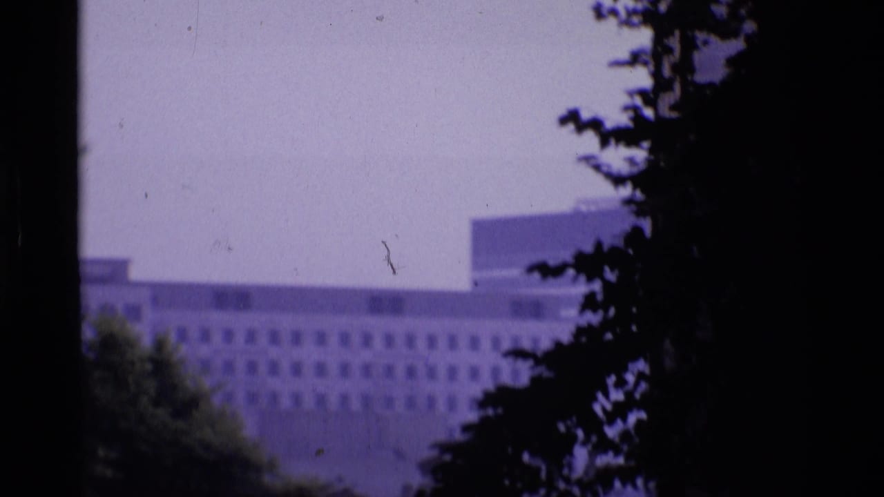 Dark trees frame a distant building and part of a riverside bridge.