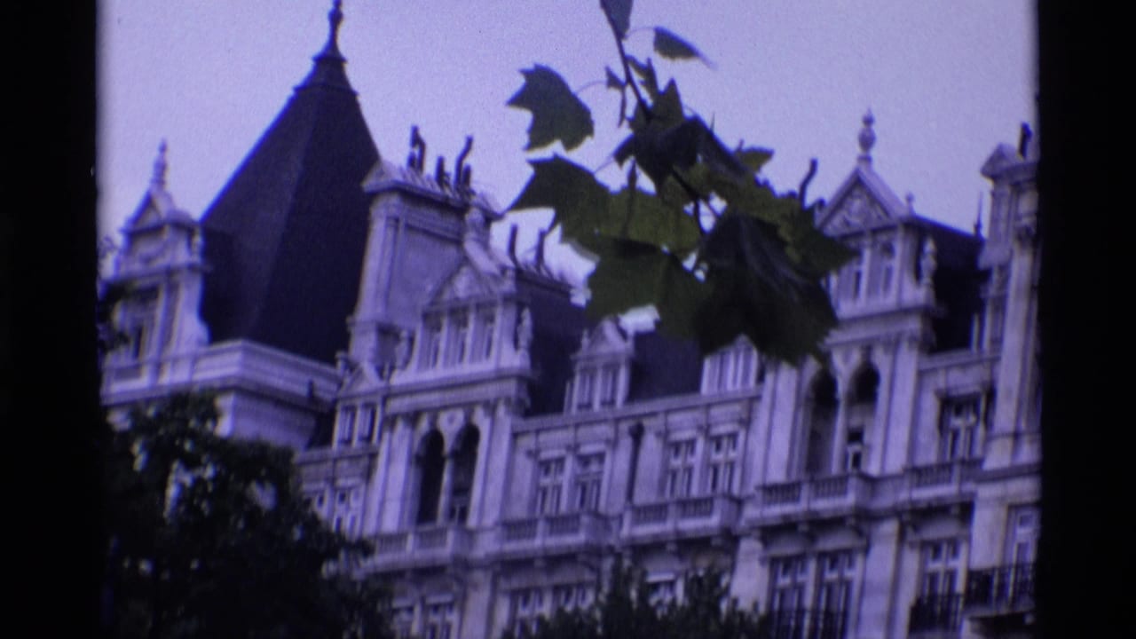 Ornate pale building with steep roofs and leafy branches in front.