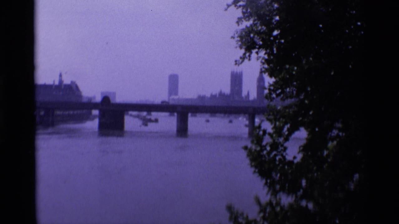 Distant bridge over the Thames with London skyline beyond and tree branches in the foreground.