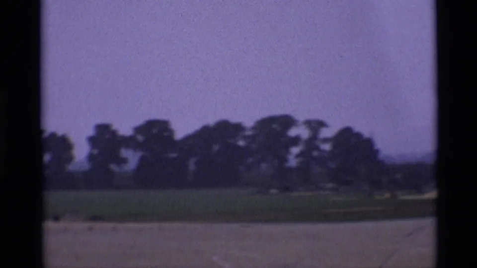 1969 London home-movie view of trees and open grass beyond pavement, with soft focus and purple-blue film color shift.