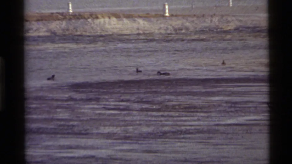 Ducks appear as dark silhouettes on Holland Lake, with white buoys and a distant shore visible in the 1972 8mm frame.