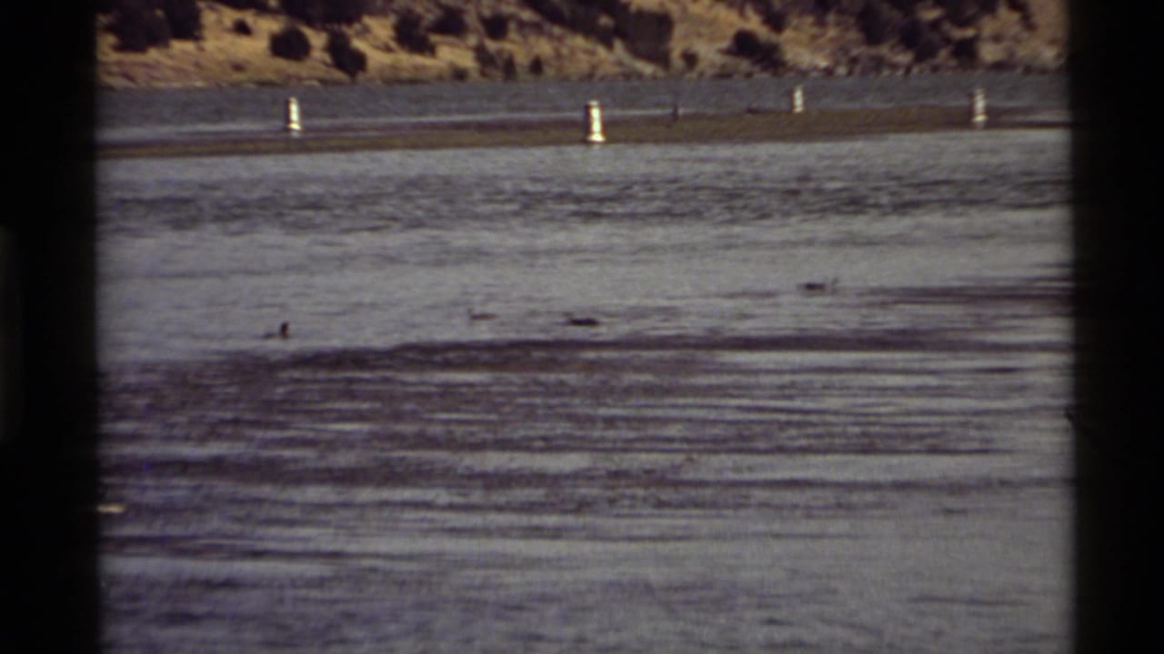 1972 8mm view of ducks on Holland Lake water, with white buoys and a rocky, tree-dotted Montana hillside beyond.
