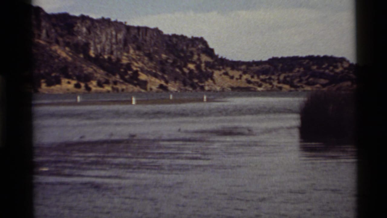 Wide lake view with small ducks on the water, white buoys, rocky slope, and dark reeds at right.