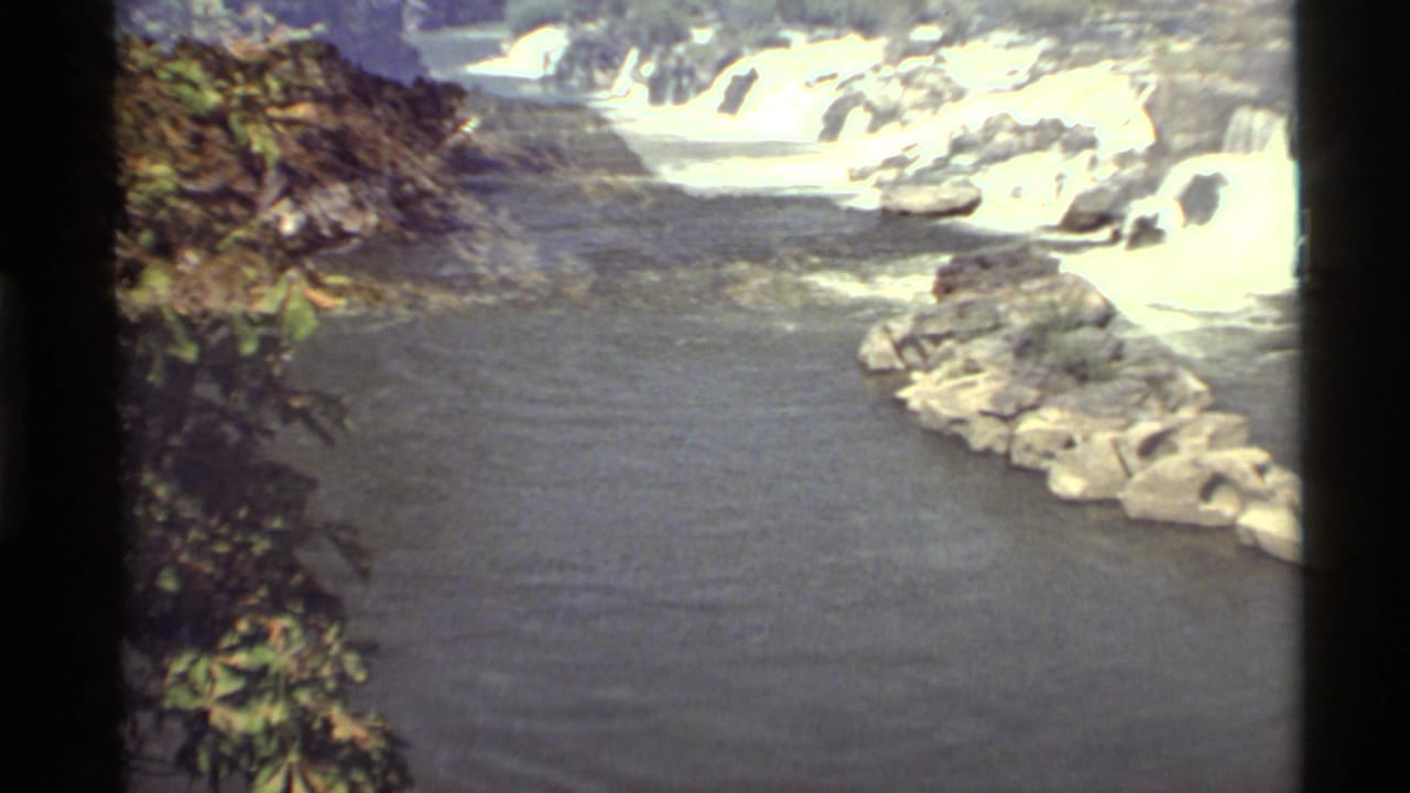 Water channel with white rapids beside rocks and foliage.