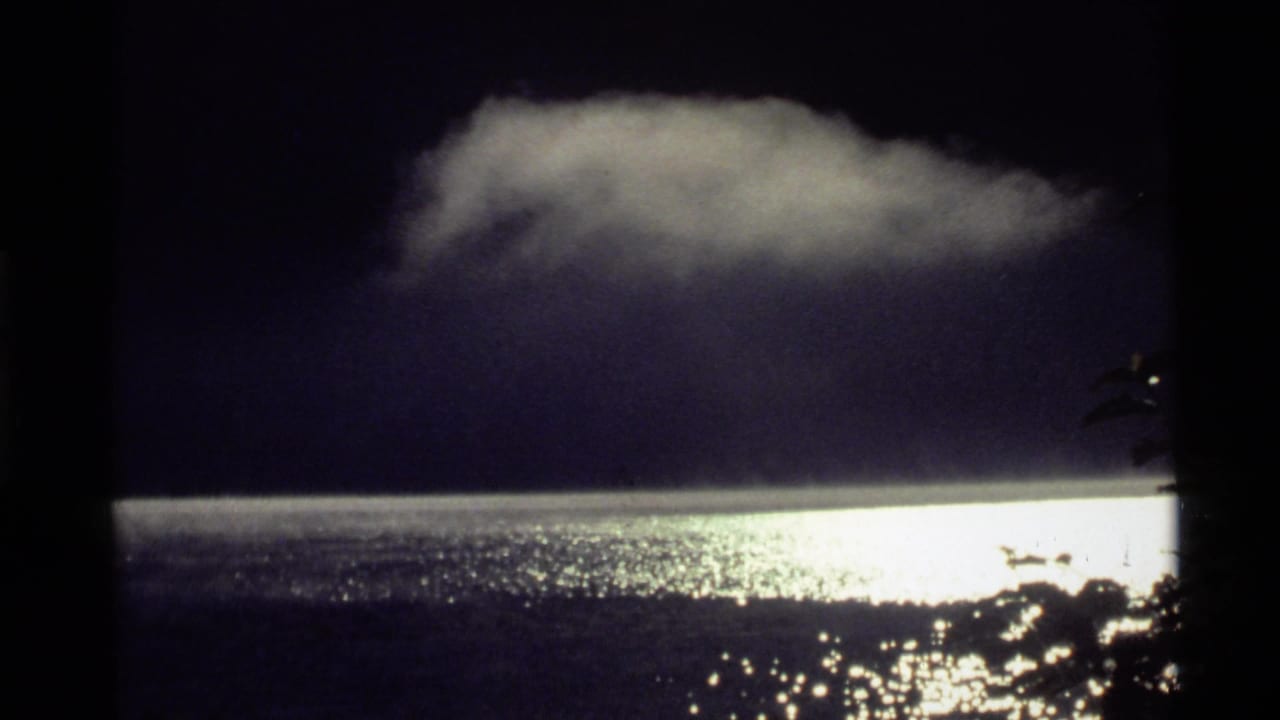 Dark lake with bright water reflection, low glowing cloud, and silhouetted foliage at the edge.
