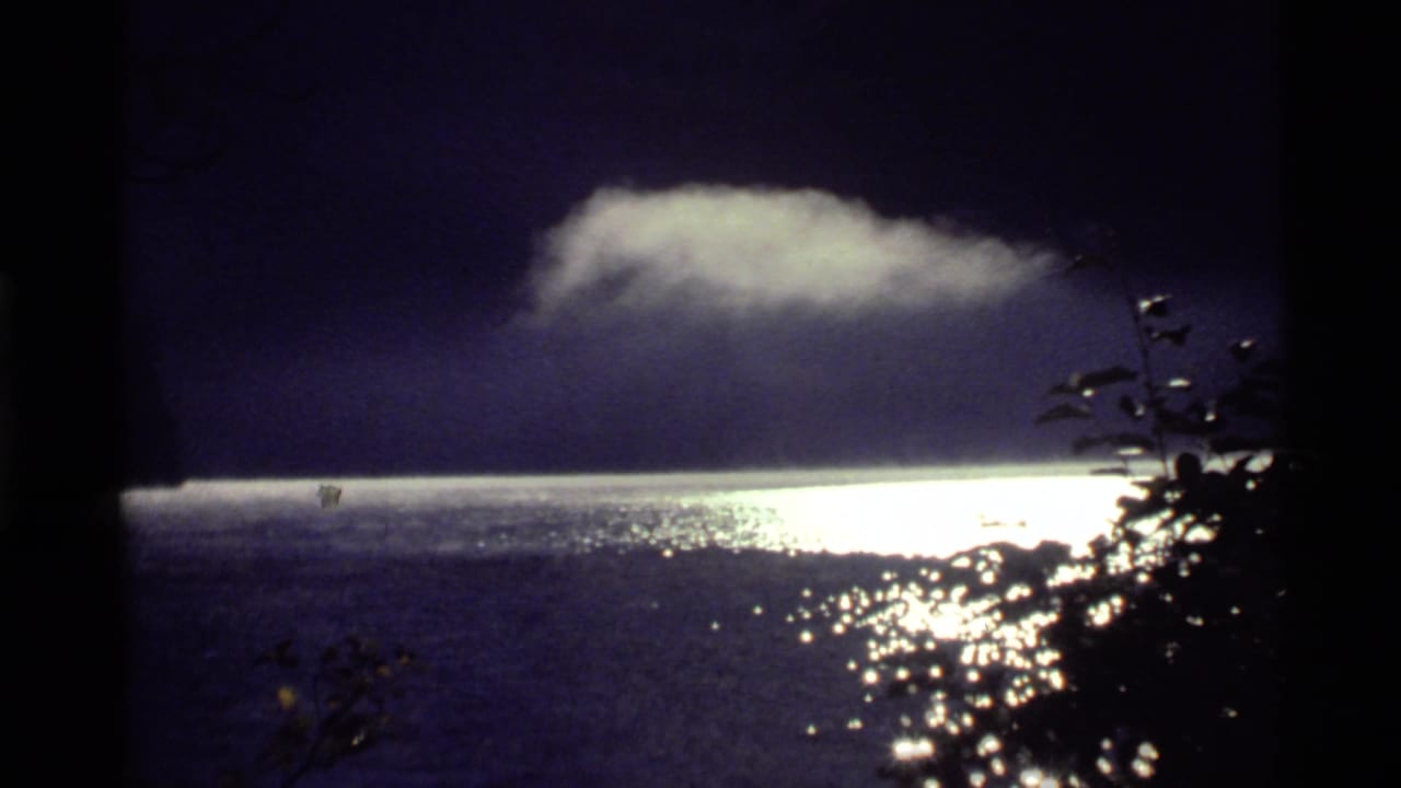 Bright reflection on dark lake water with a pale cloud above and silhouetted branches at right.