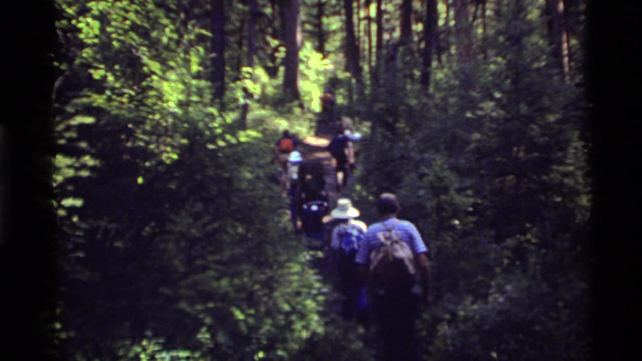 Hikers in 1972 Holland Lake, Montana walk away from the camera on a shaded, heavily wooded trail.