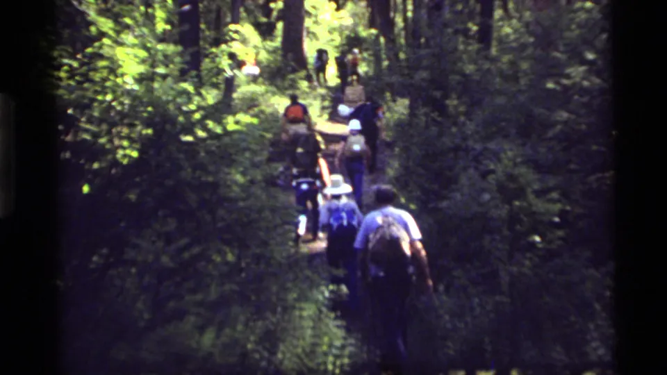 The group moves farther up the Holland Lake forest trail, with dense undergrowth and sunlit leaves around them.