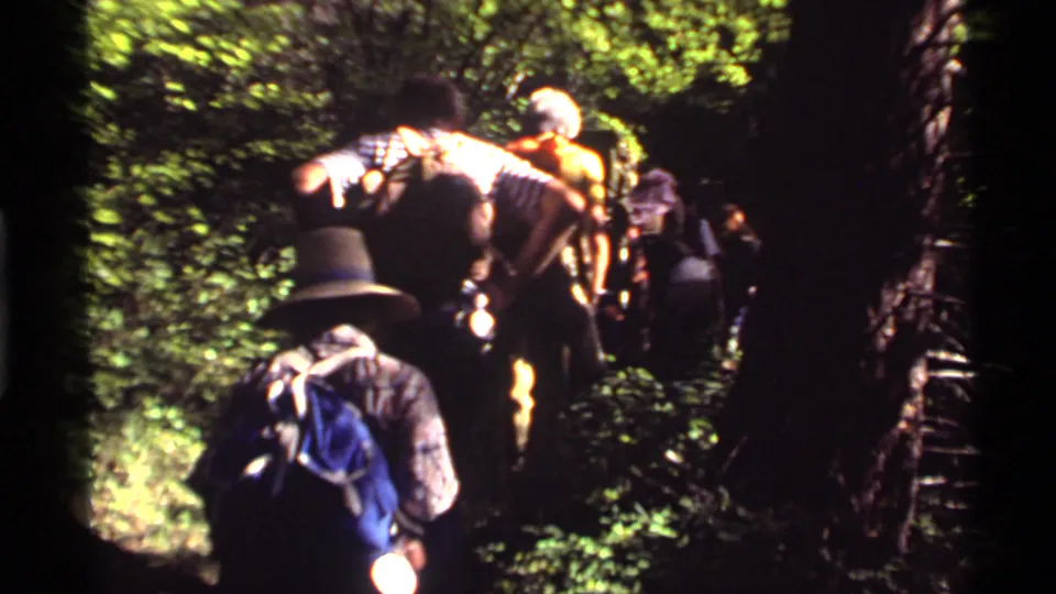 1972 Holland Lake, Montana home-movie frame of hikers with backpacks moving through dense green forest.