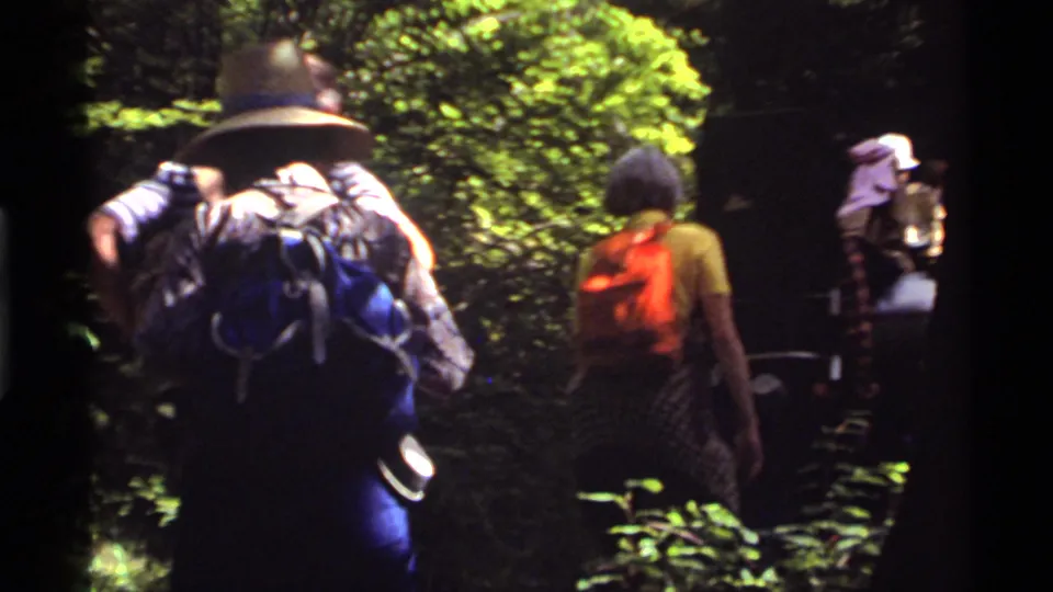 Group of hikers carrying backpacks on a green forest path in 1972 Holland Lake, Montana home-movie footage.