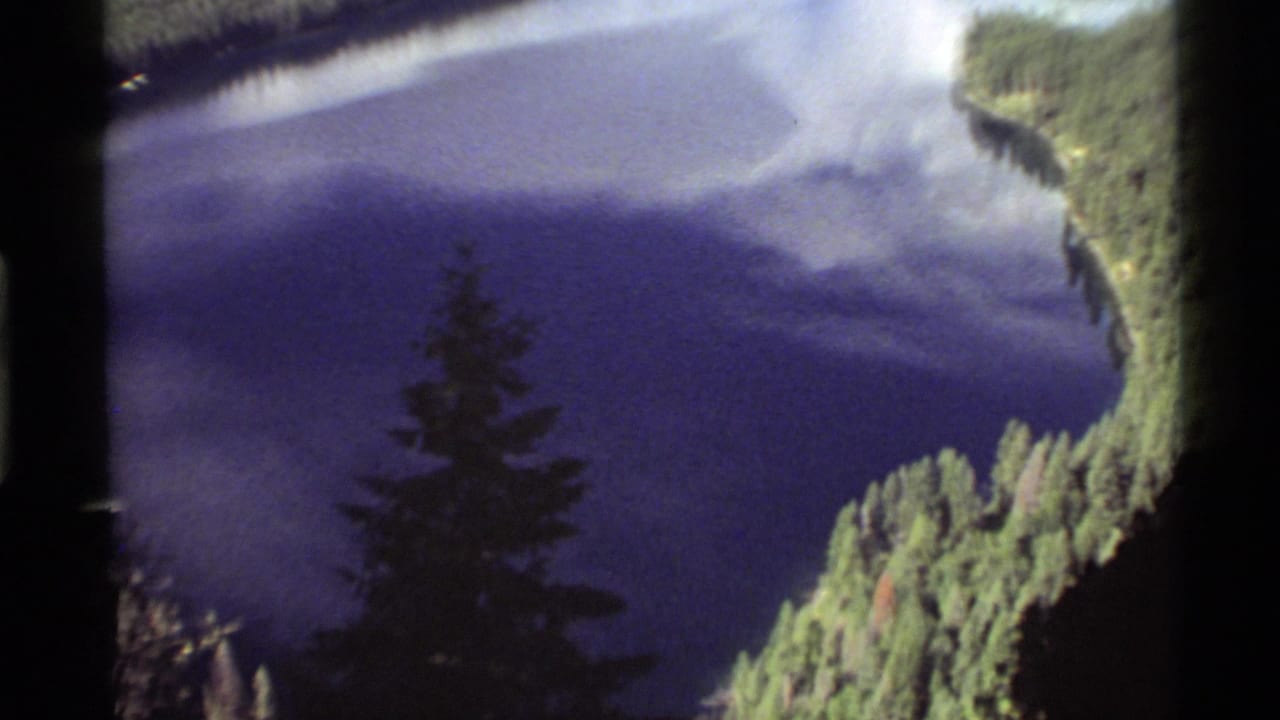 Forested lake shoreline with blue water and a dark pine reflection near the center.