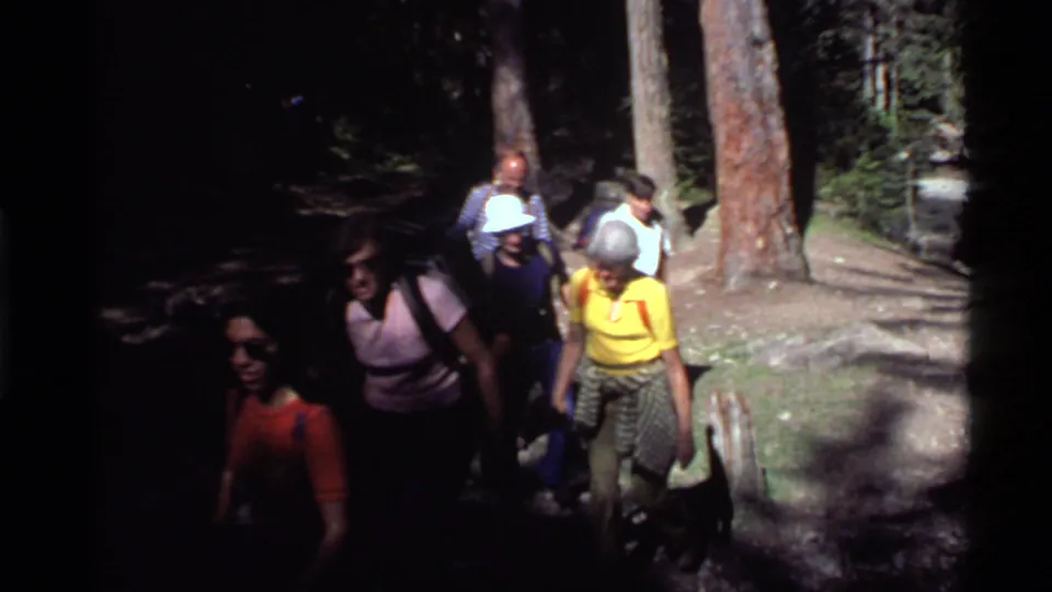Hikers in hats and backpacks continue along a shaded Montana forest trail, with tall trunks and bright ground patches behind them.