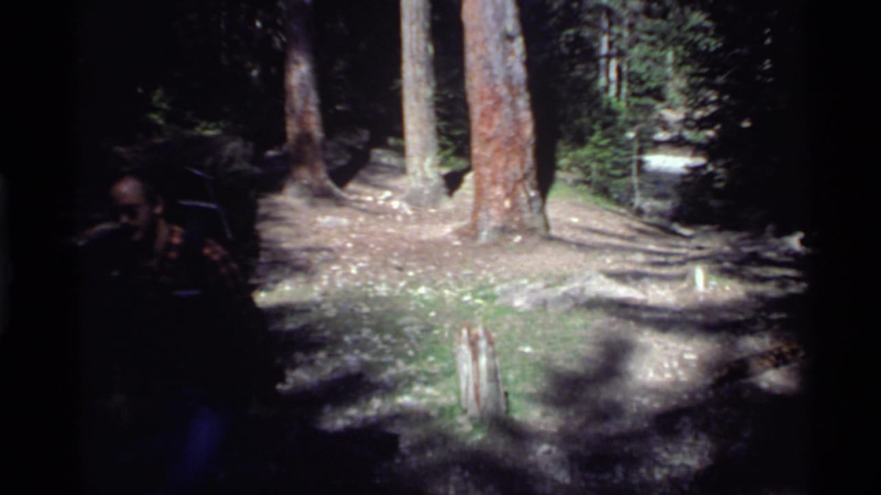 A dim 8mm frame shows a backpacked hiker partly obscured in the shaded Holland Lake forest.