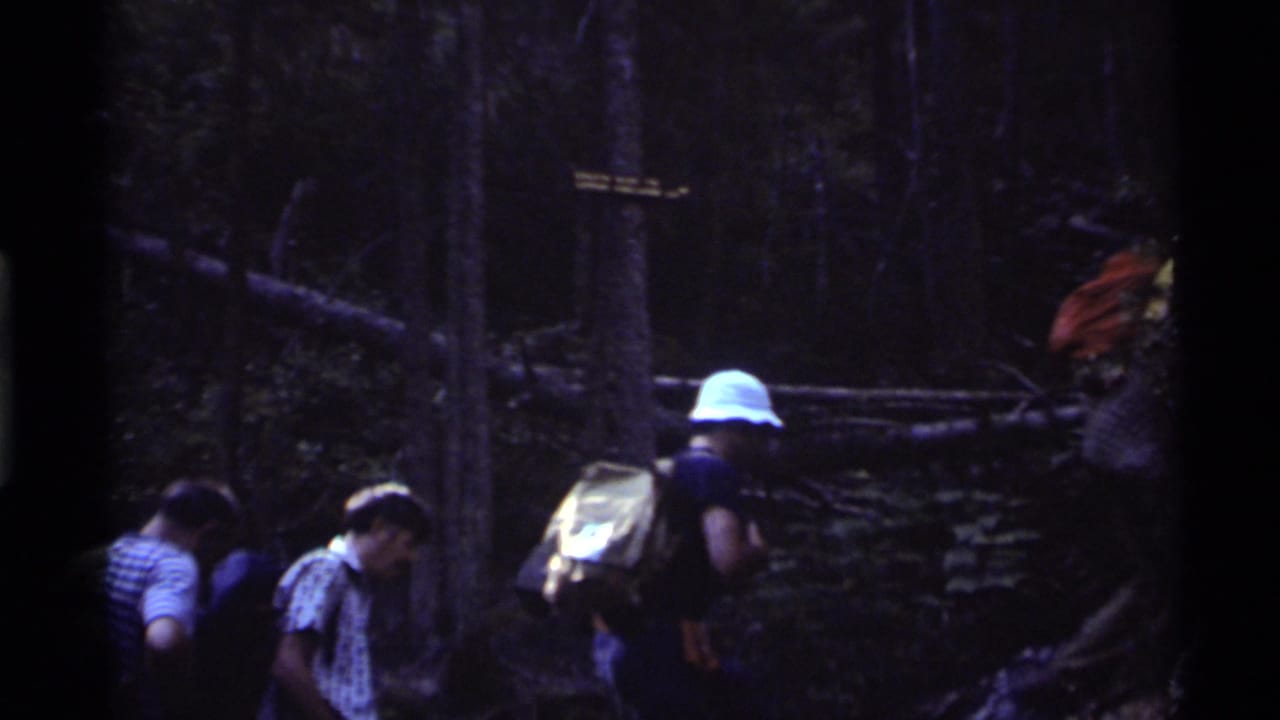 Several hikers walk in single file through dense trees and brush.