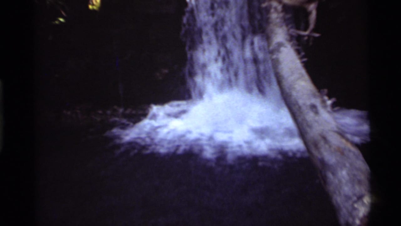 Holland Lake, Montana waterfall framed by a leaning trunk, with bright foam against a dark wooded background.