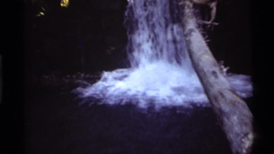 Holland Lake, Montana waterfall framed by a leaning trunk, with bright foam against a dark wooded background.