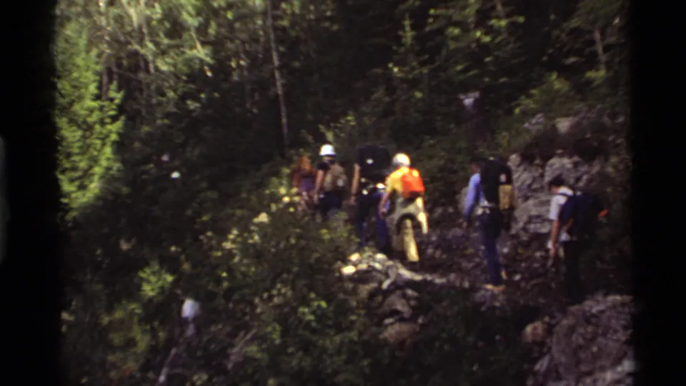 The group heads farther along the Holland Lake forest trail, with sunlit brush, backpacks, hard hats, and rocky ground visible.